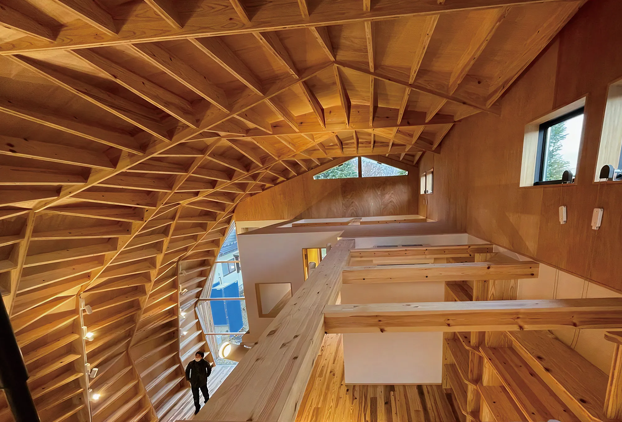 ヴォールト屋根の家